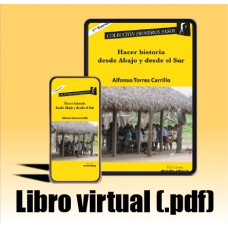 Libro virtual (.pdf) Hacer historia desde abajo y desde el sur