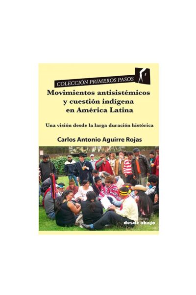 movimientos-antisistemicos-y-cuestion-indigena-en-america-latina